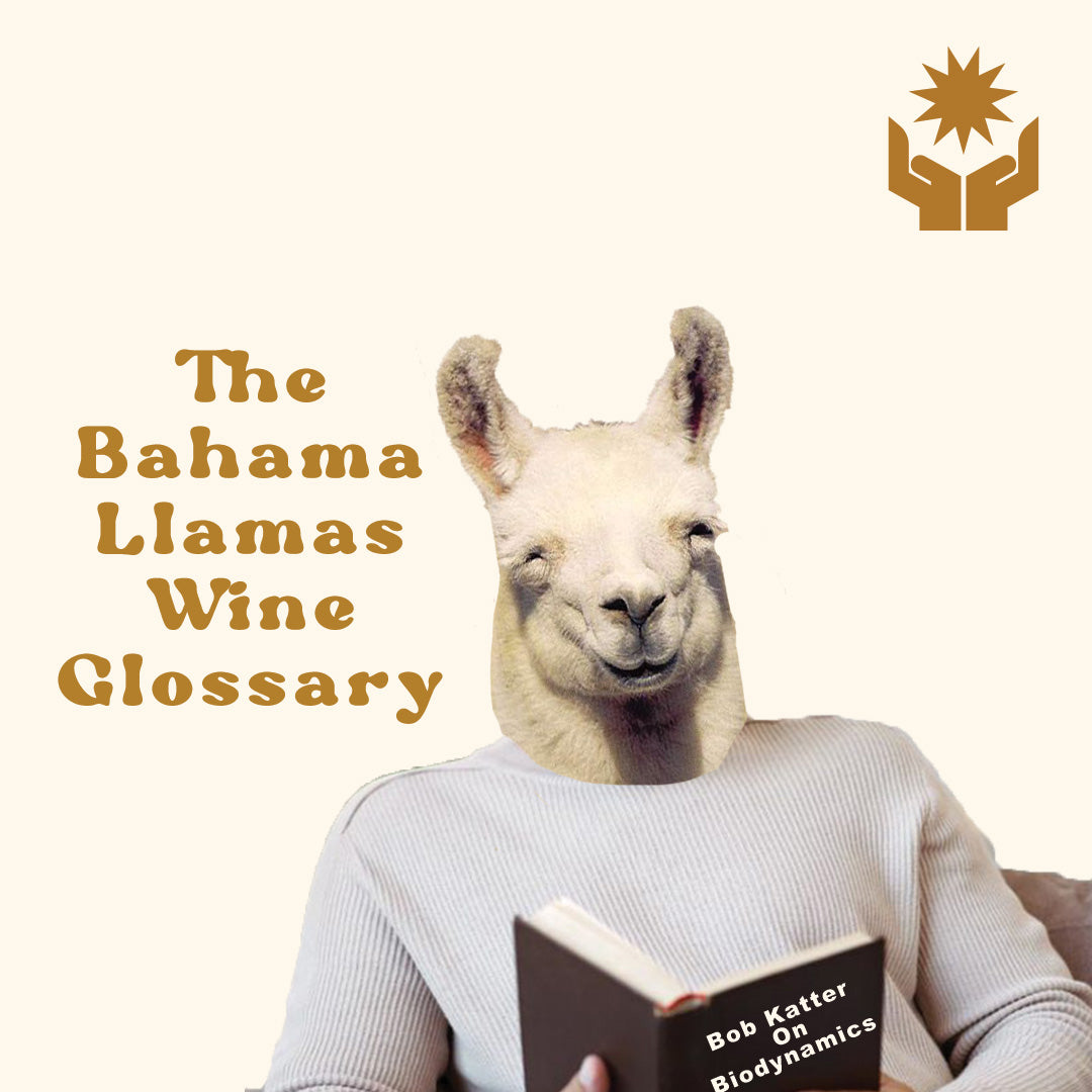 The Bahama Llamas Wine Glossary: Terms & Words for those navigating this complicated world (Working)