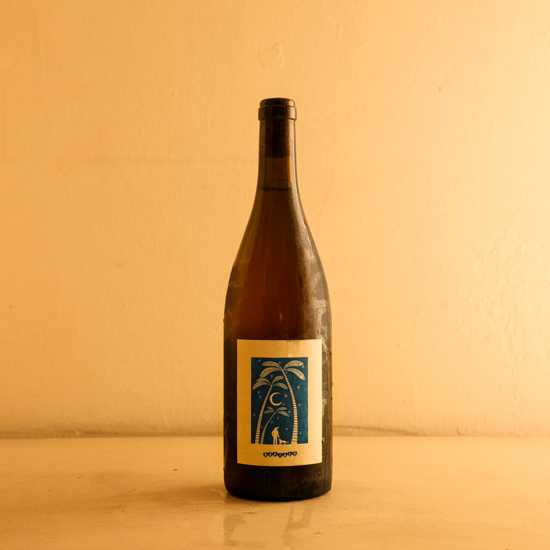 2024 Defialy 'Bahama Nights'