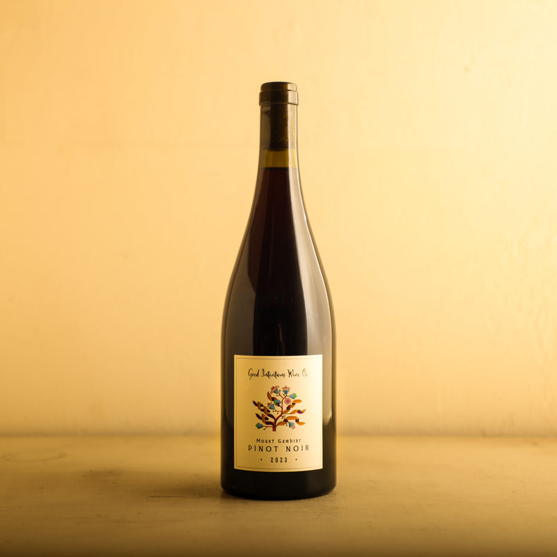 2025 Good Intentions Wine Co. ‘Pinot’