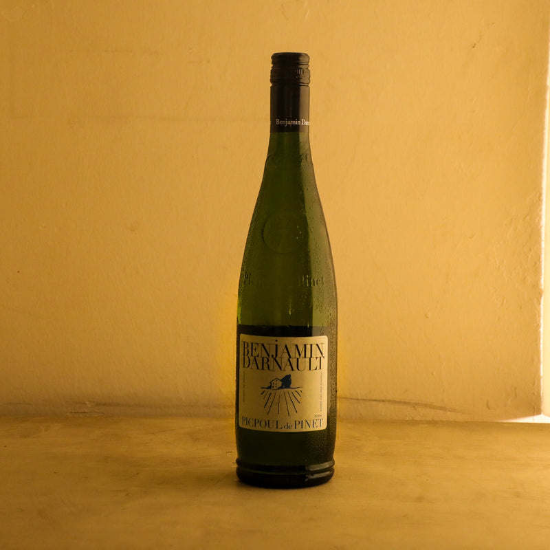 2024 Benjamin Darnault ‘Les Vignes de Cyr Gaudy’ Picpoul de Pinet