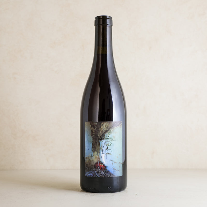 2020 Les Frères Soulier ‘Voyou’ Vin de France